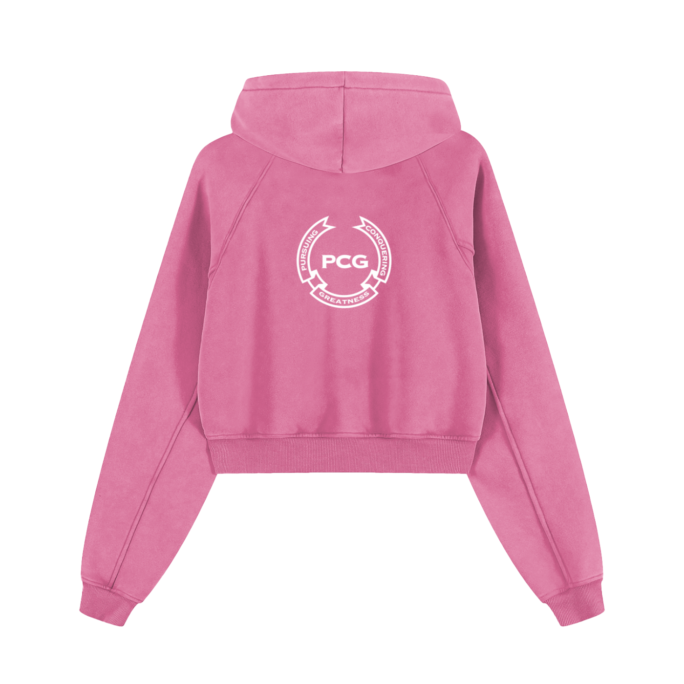 Snow Washed Cropped Hoodie
